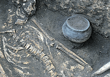 В Донецке черные археологи разворовывают древние курганы (фото)
