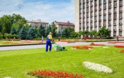 Цветы Донецка (фото)