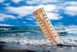 Спасение от жары: рейтинг самых прохладных мест Донецка