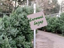 Купить елку в Донецке можно будет на 78 елочных базарах