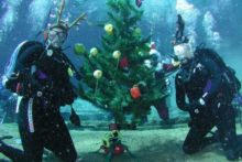 В Донецке появилась подводная новогодняя елка (видео)