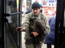 В донецком транспорте ездит хищная птица (фото)