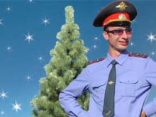 Новогодние преступления в Димитрове (видео)