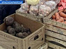 В Красноармейске морозы привели к резкому подорожанию овощей и фруктов