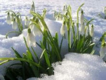Синоптики прогнозируют позднюю весну: март будет холодным и дождливым (видео)