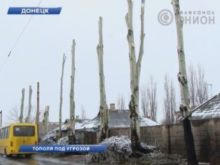 Донецкие коммунальщики уничтожили более 40 
