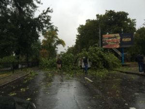 Непогода натворила немало бед в Донецке (фото)