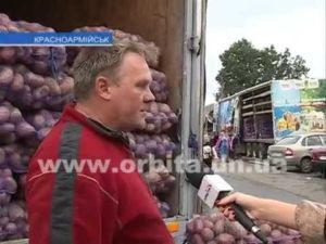 Обзор рынка овощей в Красноармейске: что сколько стоит в этом году (видео)