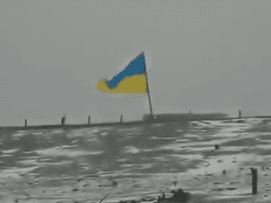 Здесь вам не