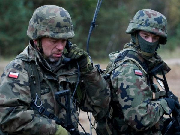Маразм крепчает: разведка