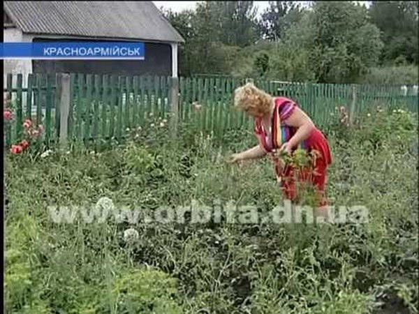 Жители Красноармейска подсчитывают убытки от града (видео)