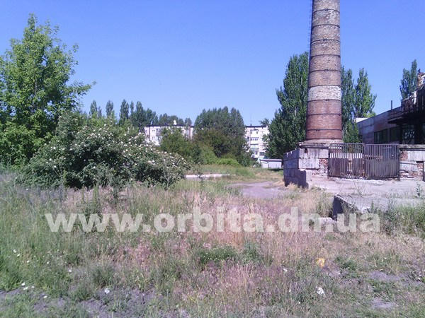 В Красноармейске, в районе котельной, обнаружены три трупа