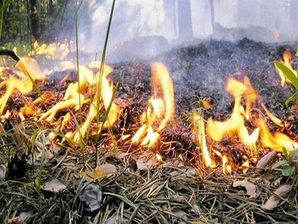 В Красноармейске попытка сжечь листья закончилась сгоревшим сараем и крышей