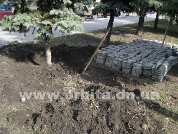 В Красноармейске средь бела дня неизвестные выкапывают елки и демонтируют тротуарную плитку