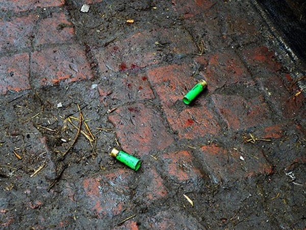 Новые шокирующие подробности двойного убийства в Красноармейском районе