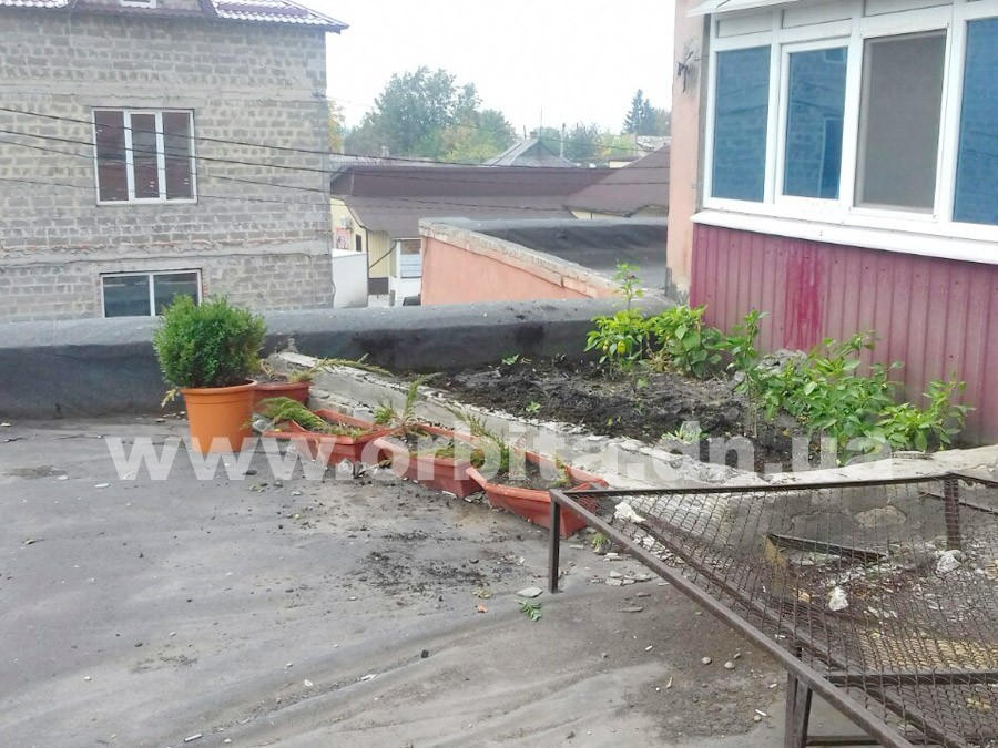 Предприимчивые жители Покровска разбили огород на крыше библиотеки