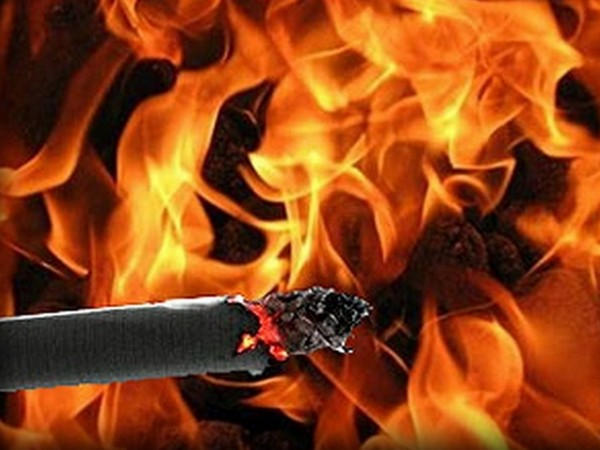 Житель Кураховки сжег чужой дом и сам погиб