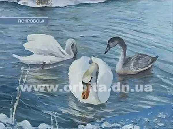 Жители и гости Покровска могут окунуться в «Зимнюю сказку»