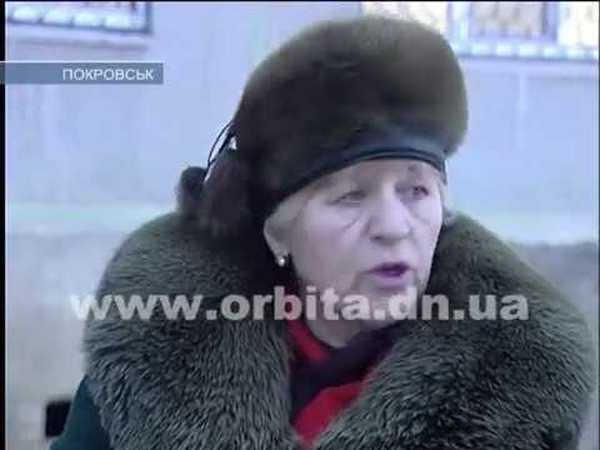 Бродячие коты стали причиной конфликта между жителями Покровска