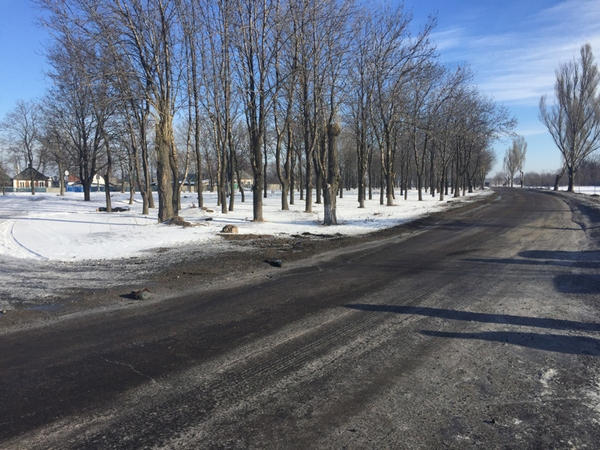 Житель Покровского района замерз насмерть в лесополосе