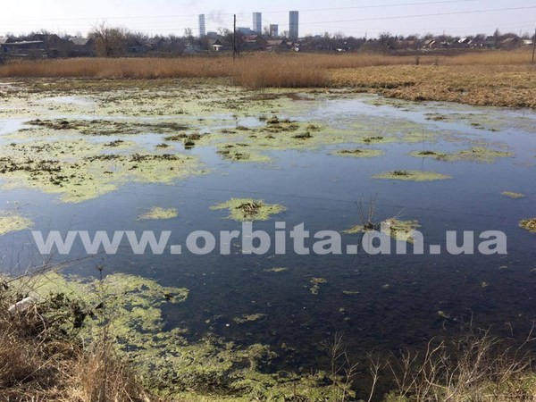 Экологическое бедствие в Покровском районе принимает новые масштабы