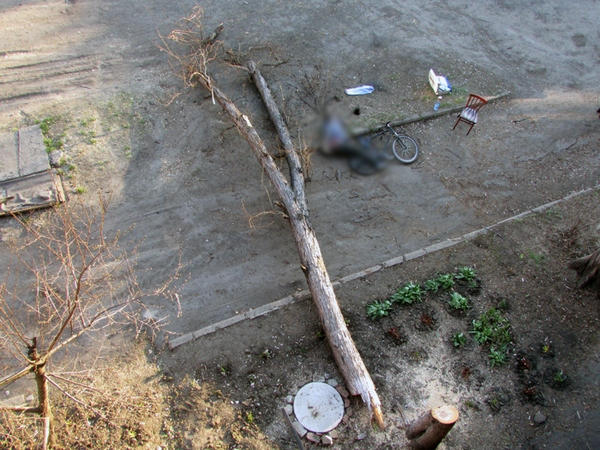 В Селидово спиленное дерево убило велосипедиста