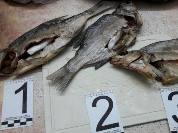 Заключенным Селидовской исправительной колонии доставляют наркотики в рыбе