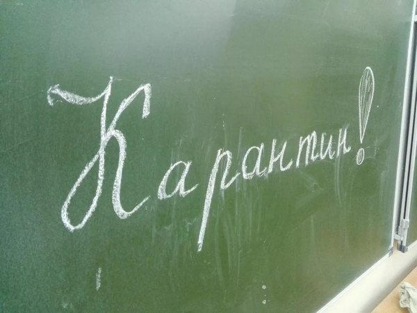 В учебных заведениях Селидовского городского совета объявлен карантин