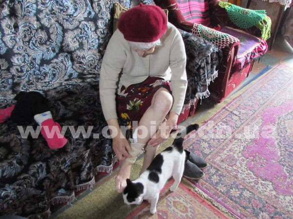 В Мирнограде пенсионерка стала жертвой своры собак