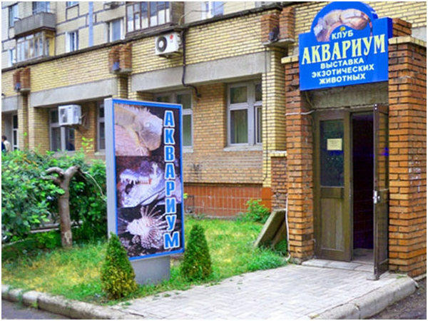 «ДНР» не нужны животные: в Донецке приходит в упадок «Аквариум»