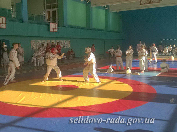 В Селидово прошли соревнования по карате