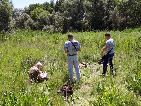 В Покровском районе обнаружен скелетированный труп мужчины