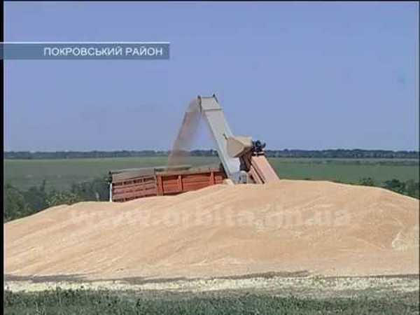 В Покровском районе жатва в самом разгаре: аграрии дают оптимистичные прогнозы