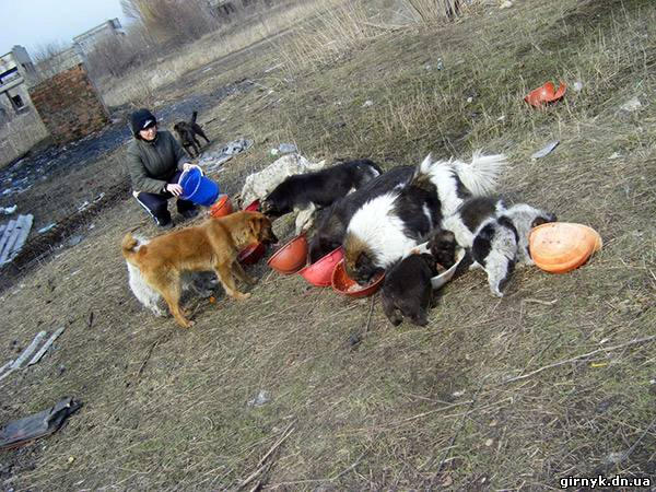 Приют для животных в Украинске (фото)