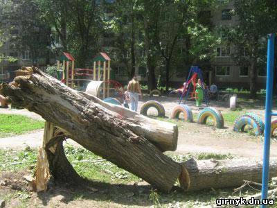 В Красноармейске на детскую площадку рухнул двадцатиметровый тополь (фото)