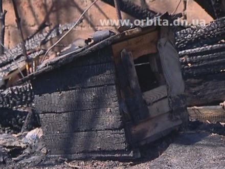 В Красноармейском районе горящий камыш чуть не сжег целое село (фото + видео)