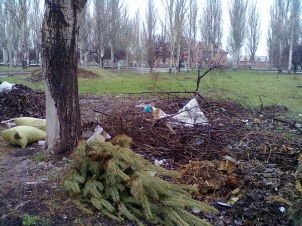 Красноармейчане выбрасывают новогодние елки в апреле (фото)