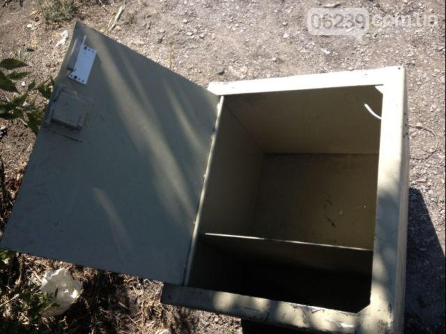 В водоеме Красноармейского района мальчишки нашли сейф с золотыми украшениями (фото + видео)