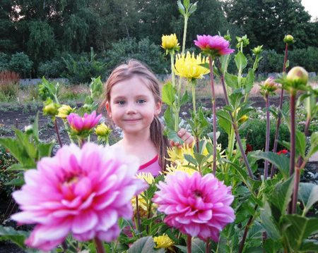 В Донецком ботаническом саду расцвели гигантские цветы (фото + видео)