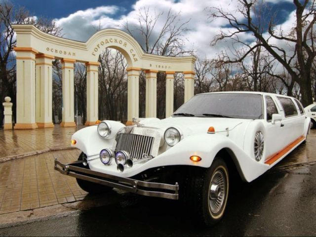 Самые необычные свадебные автомобили Донецка (фото)