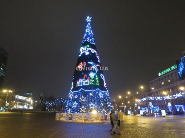 Как выглядит главная новогодняя елка Донецка (фото)
