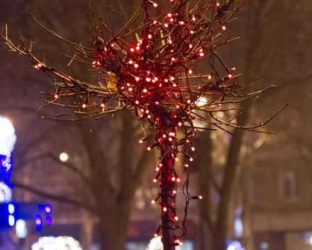 Донецк погрузился в новогоднюю иллюминацию (фото)