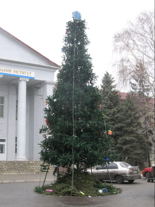 Из-за нехватки денег в Красноармейске убрали главную новогоднюю елку (фото)