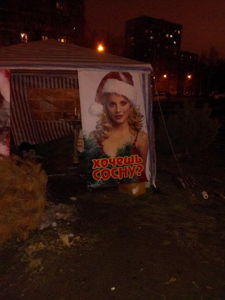Новогодние елки в Донецке продавали с помощью пошлой рекламы (фото)