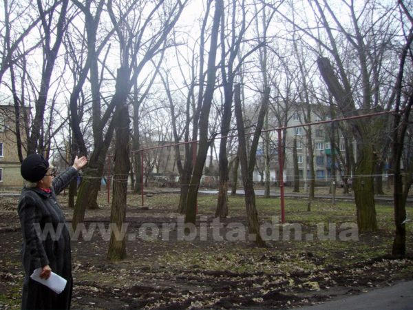 Упавшее дерево в Красноармейске жители приняли за начало войны (фото)