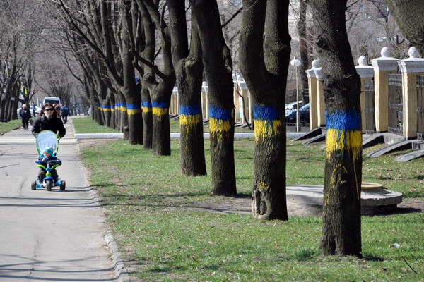 Донецк окрасился в желто-голубые цвета (фото, видео)