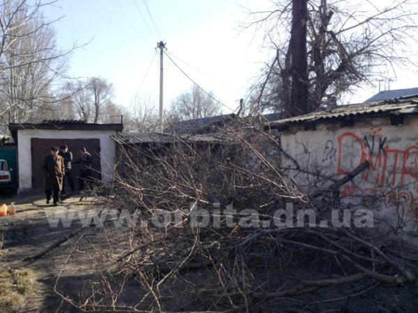 В Димитрове попытка спилить дерево лишила жителей целой улицы света и бытовой техники (фото)
