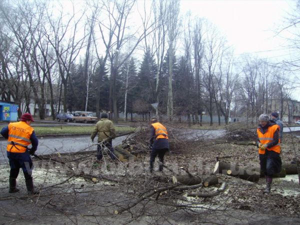Упавшее дерево в Красноармейске жители приняли за начало войны (фото)