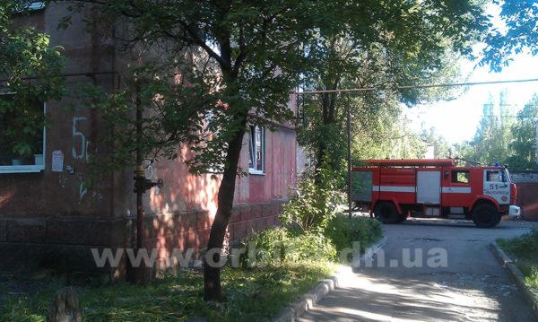 Дети и тополиный пух - вероятная причина пожара в Красноармейске (фото, видео)