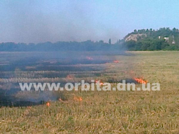 В Димитрове горело поле (фото, видео)